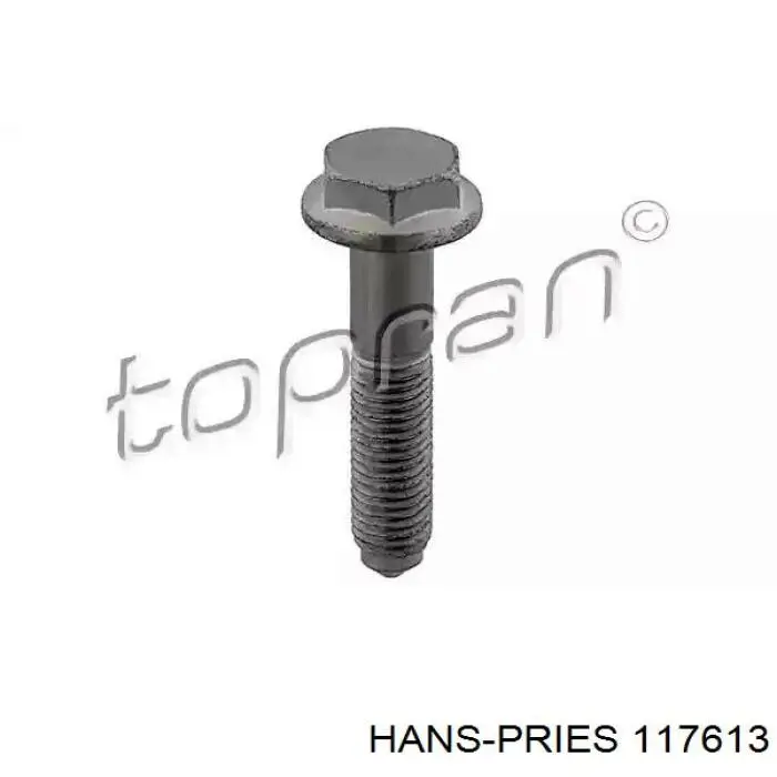 Comprar 117613 Hans Pries (Topran) Tornillo