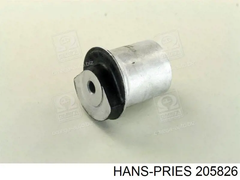 205826 Hans Pries (Topran) Silentblock del puente trasero