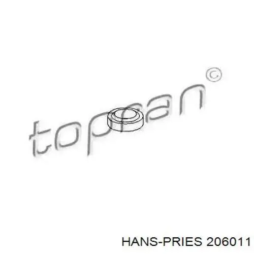 206011 Hans Pries (Topran) junta anular, inyector