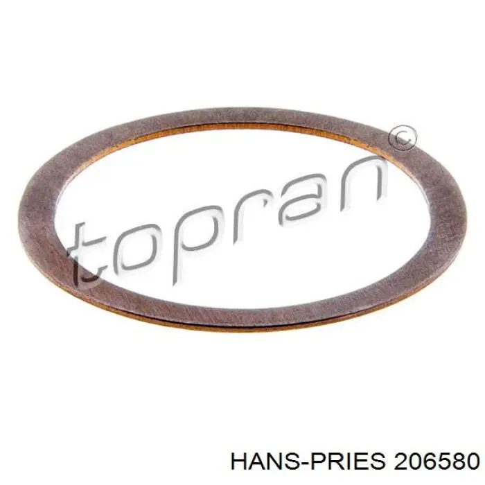 206580 Hans Pries (Topran) junta de inyectores