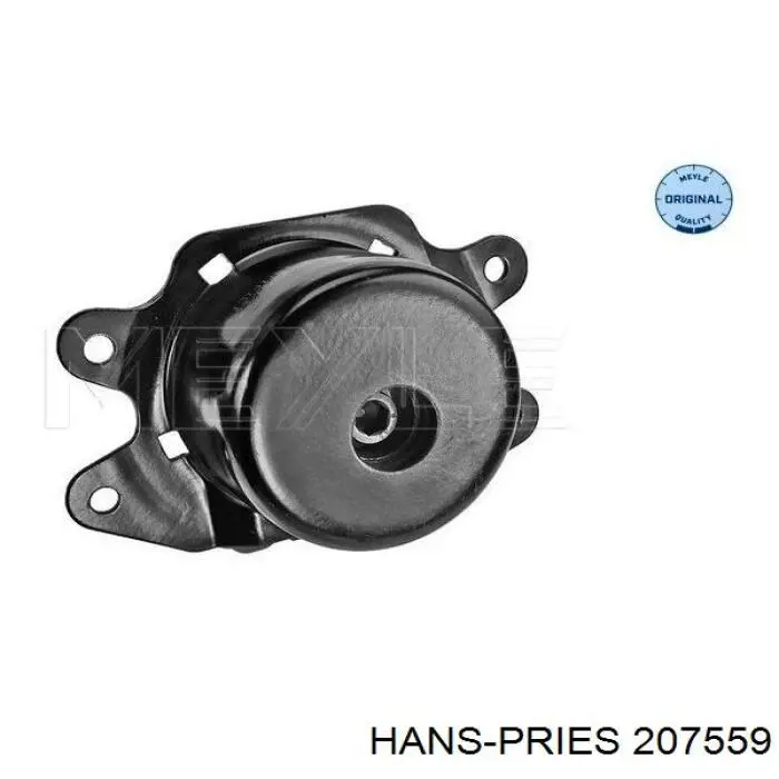 207559 Hans Pries (Topran) soporte motor izquierdo