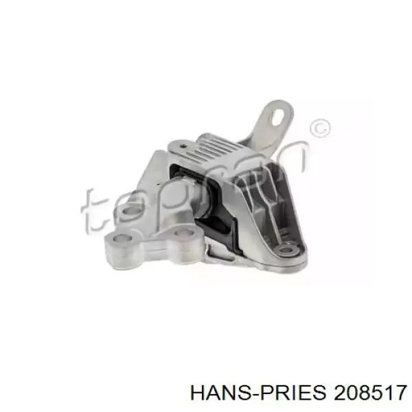 208517 Hans Pries (Topran) soporte motor izquierdo