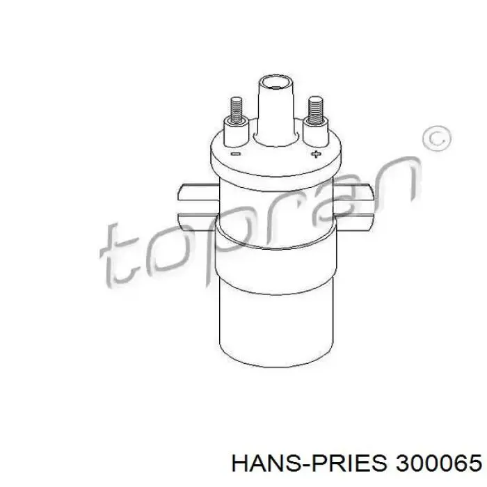 Bobina de chispa Hans Pries (Topran) 300065 precio, desde 31,94 EUR