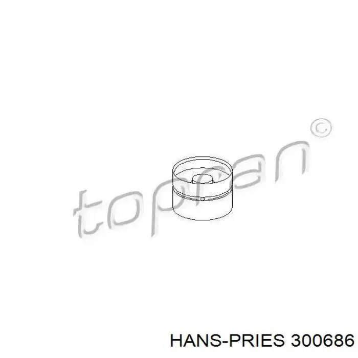Comprar 300686 Hans Pries (Topran) Taqués hidráulicos