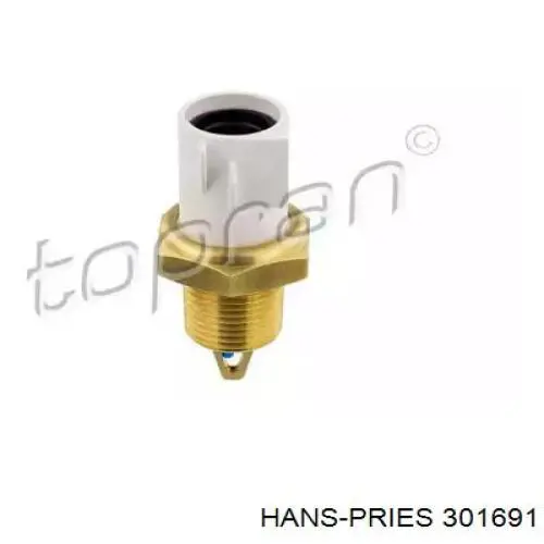 301691 Hans Pries (Topran) sensor, temperatura del aire de admisión
