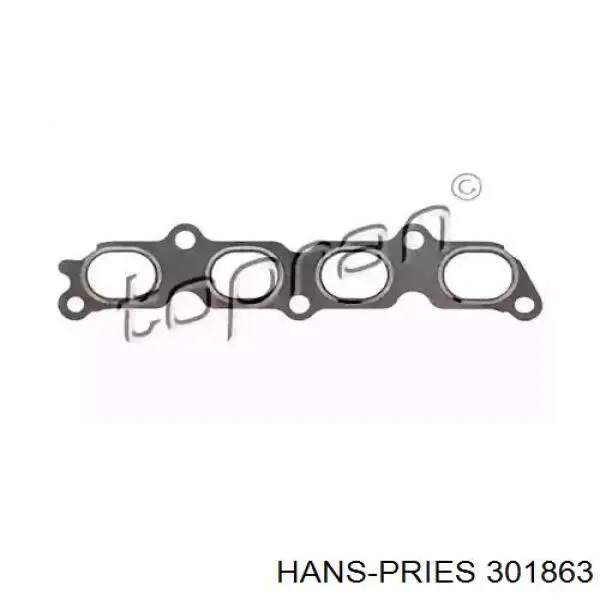 Comprar 301863 Hans Pries (Topran) Junta colector escape