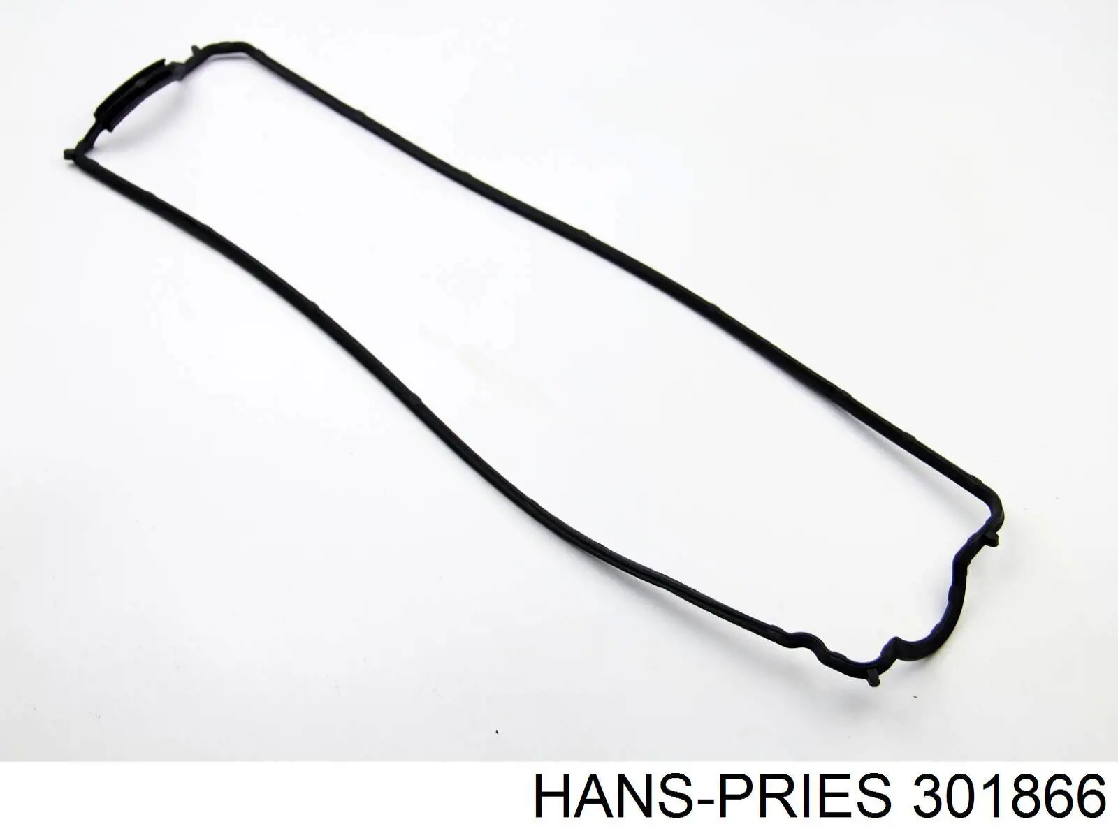 301866 Hans Pries (Topran) junta tapa de balancines
