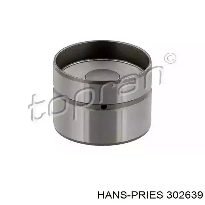 302639 Hans Pries (Topran) Taqués de motor
