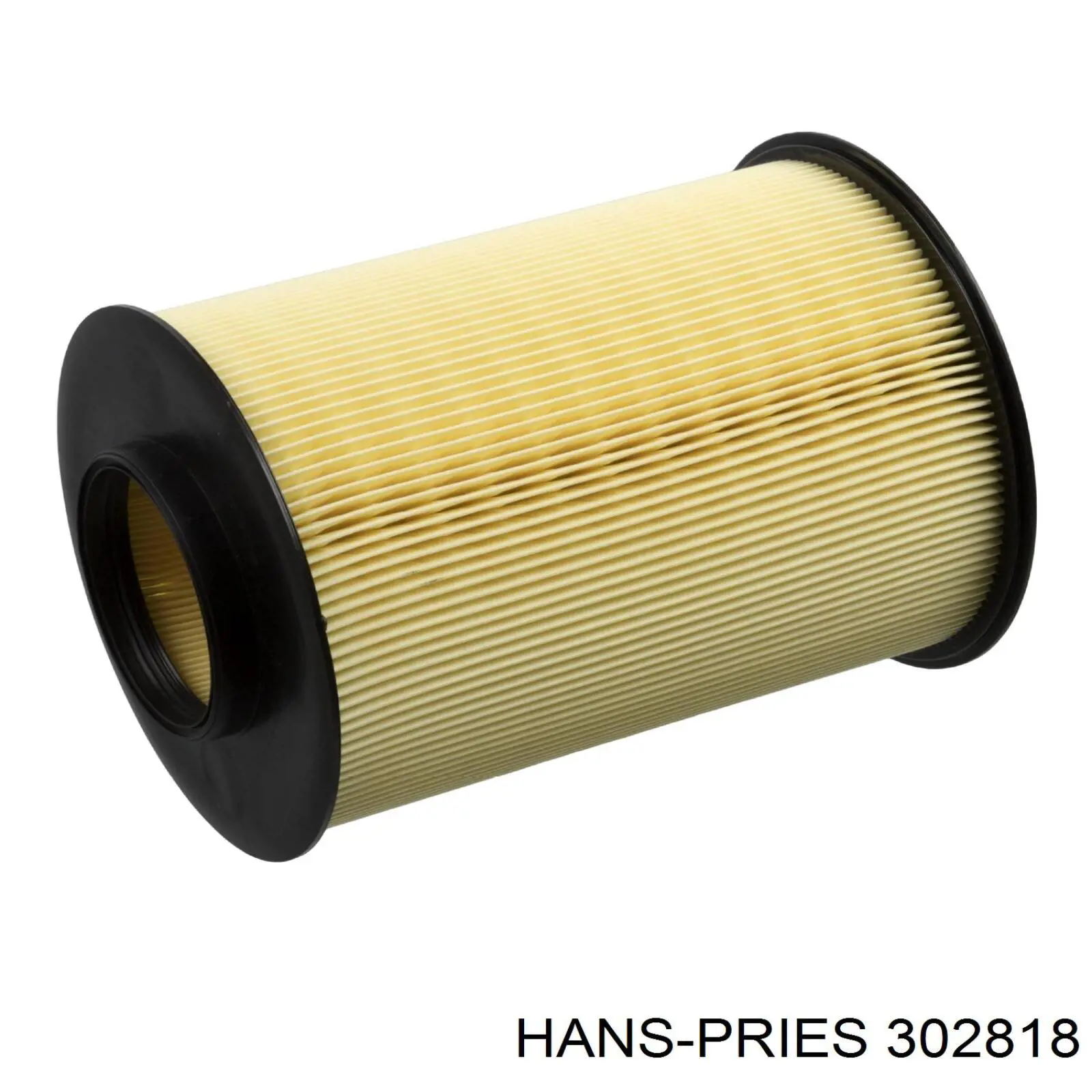 El filtro de aire Hans Pries (Topran) 302818 precio, desde 16,43 EUR
