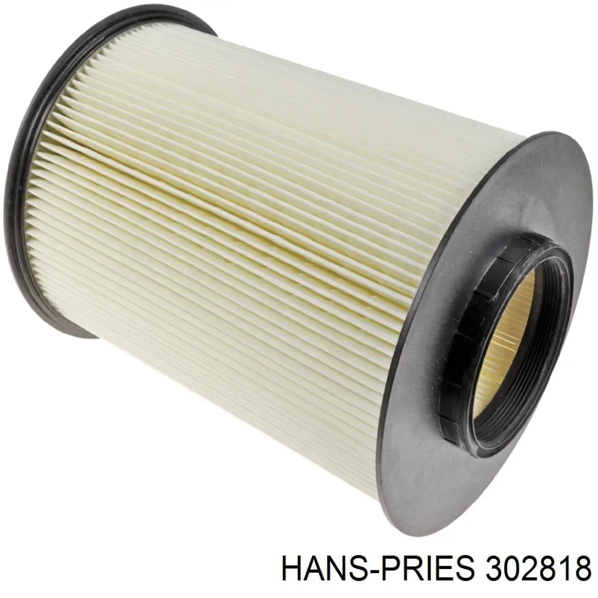 302818 Hans Pries (Topran) Filtro de aire de motor