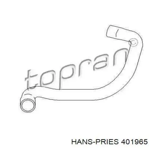 401965 Hans Pries (Topran) manguera refrigerante para radiador inferiora