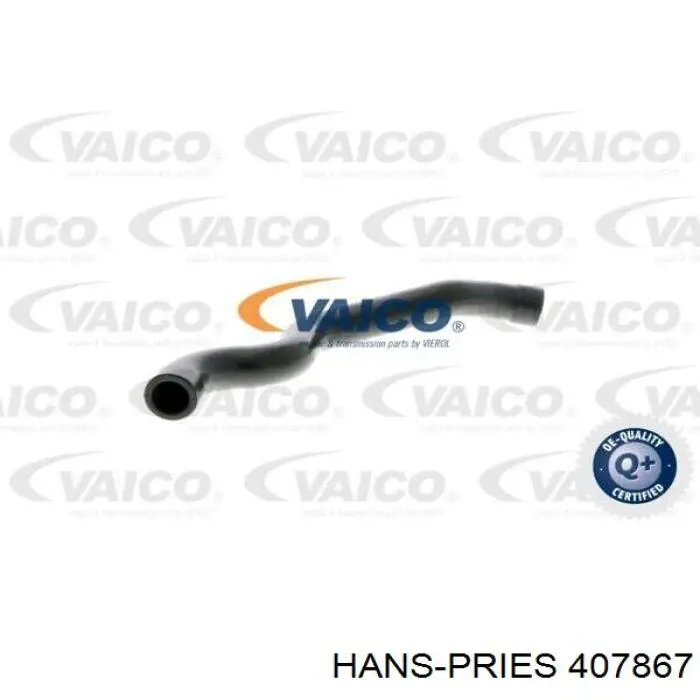 407867 Hans Pries (Topran) tubo de ventilacion del carter (separador de aceite)
