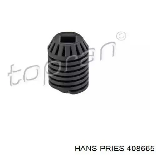 408665 Hans Pries (Topran)