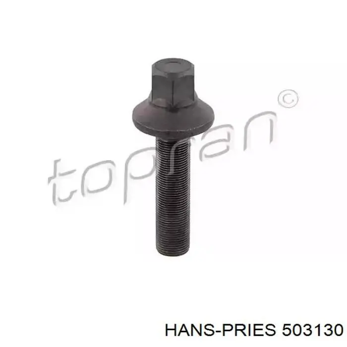 Perno de la polea del cigüeñal Hans Pries (Topran) 503130 precio, desde 11,10 EUR