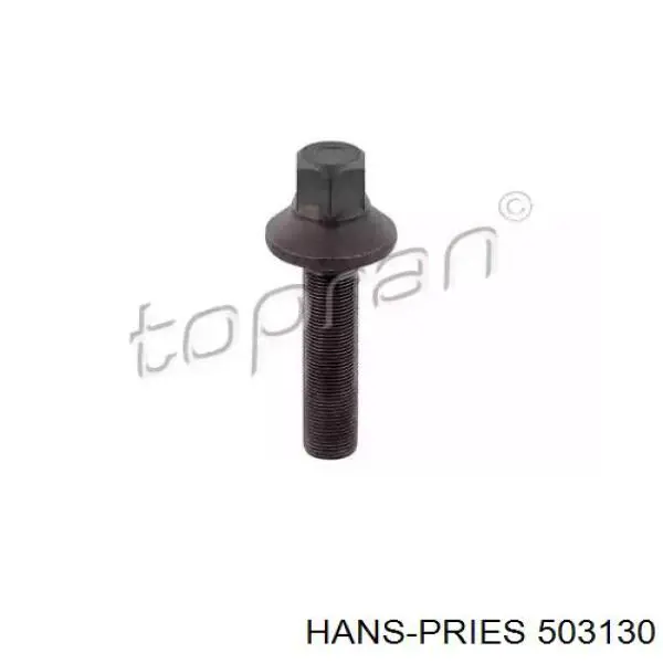 Perno de la polea del cigüeñal Hans Pries (Topran) 503130 precio, desde 12,08 EUR