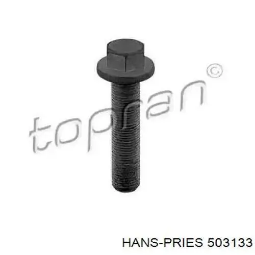 503 133 Hans Pries (Topran) tornillo de culata