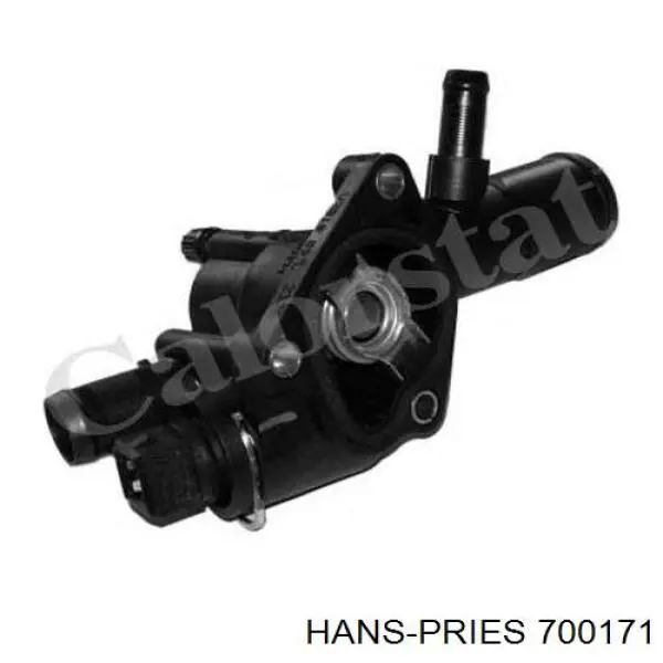 Termostato, refrigerante Renault Laguna 2 BG0, BG1