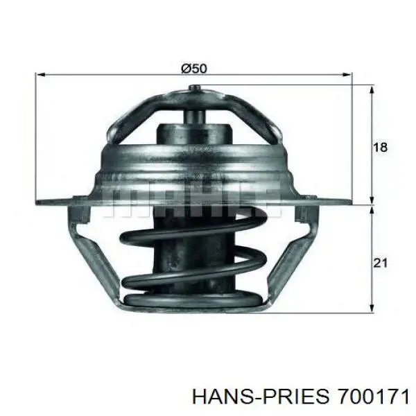 Termostato, refrigerante Renault Laguna 2 BG0, BG1