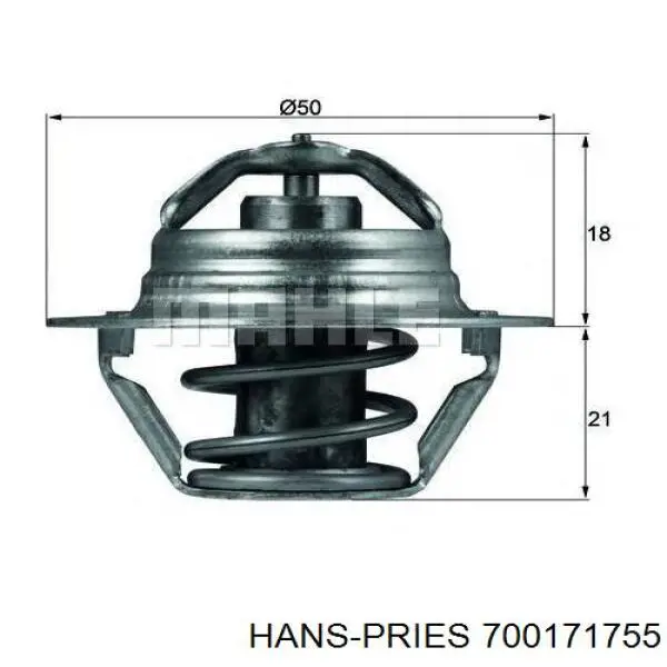 Termostato, refrigerante Renault Laguna 2 BG0, BG1