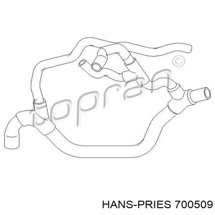 700509 Hans Pries (Topran) manguera refrigerante para radiador inferiora