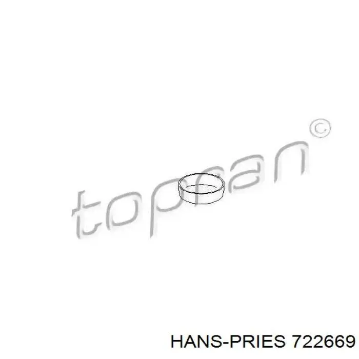 722669 Hans Pries (Topran) tapón de culata