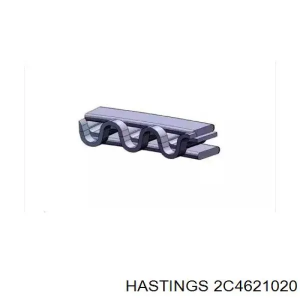 2C4621020 Hastings juego de aros de pistón para 1 cilindro, cota de reparación +0,50 mm