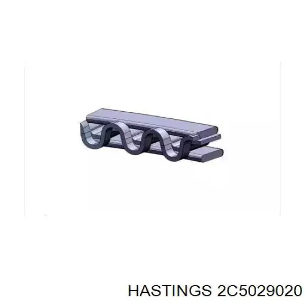 2C5029020 Hastings juego de aros de pistón para 1 cilindro, cota de reparación +0,50 mm