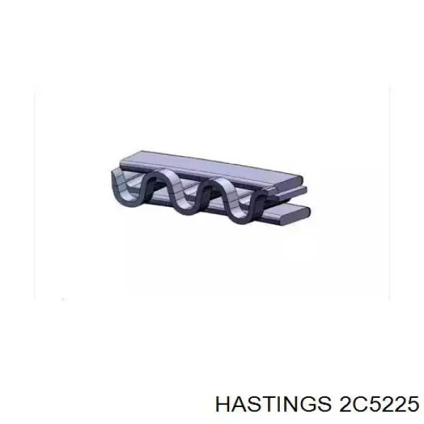 2C5225 Hastings juego de aros de pistón para 1 cilindro, std