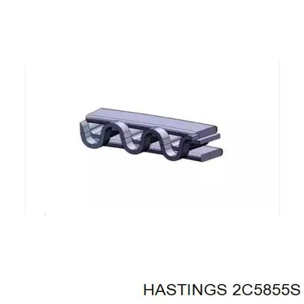 2C5855S Hastings juego de aros de pistón para 1 cilindro, std