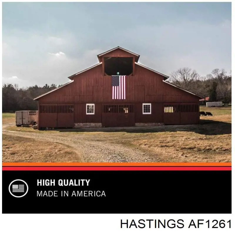 AF1261 Hastings filtro de aire