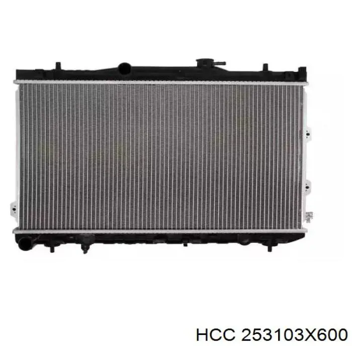 Água radiador HCC 253103X600 precio, desde 100,51 EUR