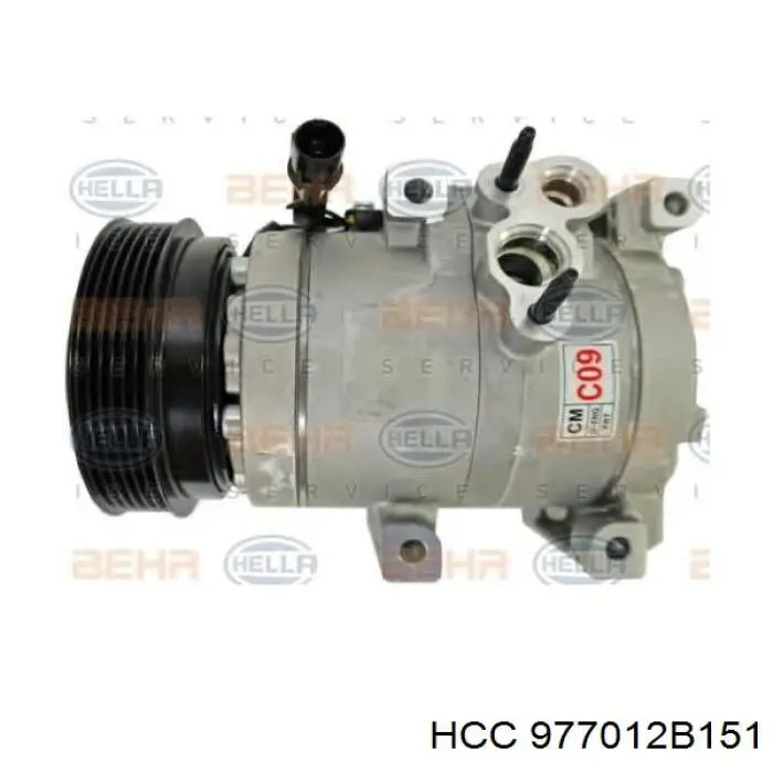 Compresor ac Hyundai/Kia 977012B250 precio, desde 159,72 EUR