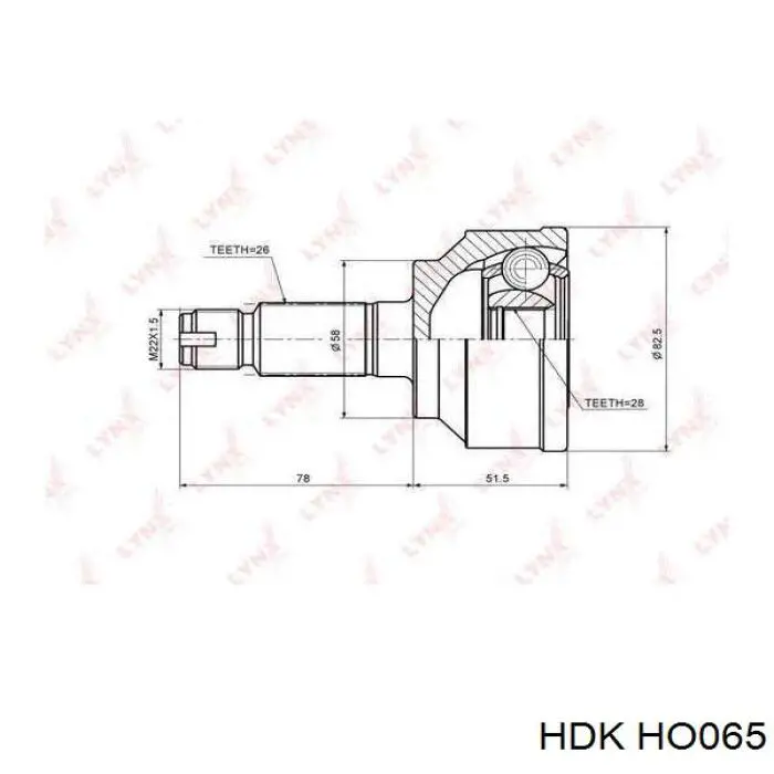 Junta homocinetica HO065 HDK