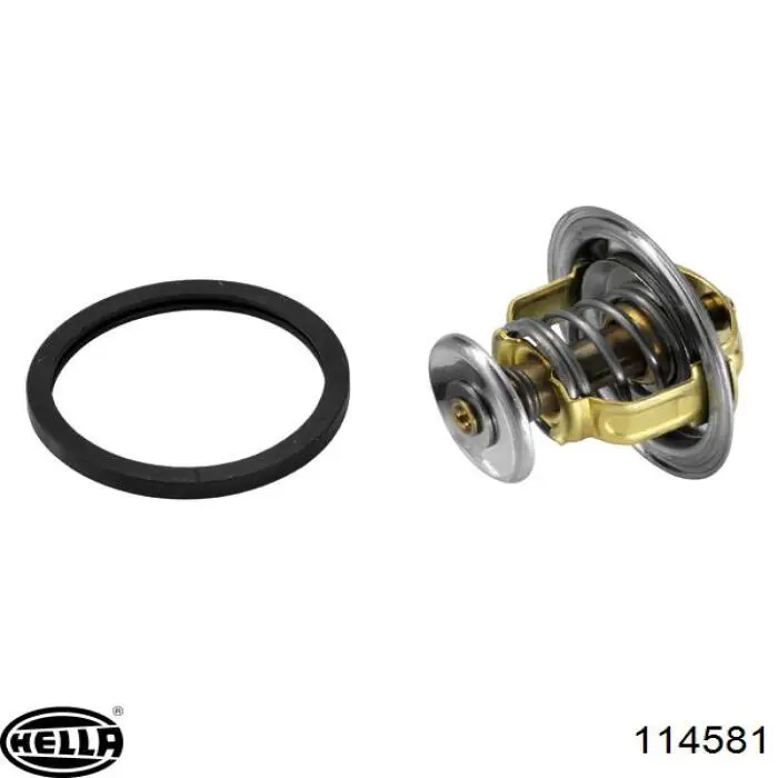 6542383 Ford Termostato de agua
