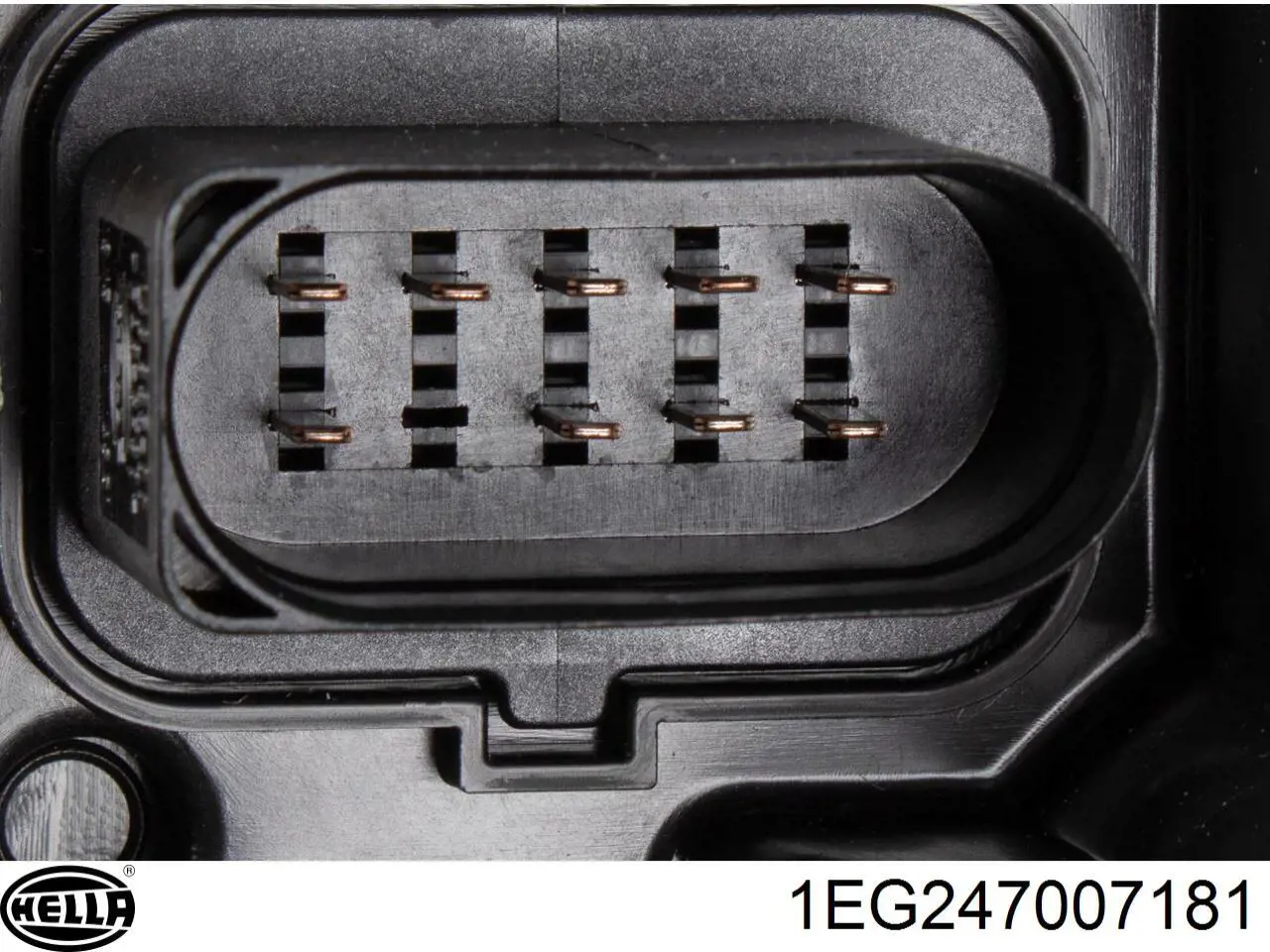 Faro derecho 5894964 VAN Wezel