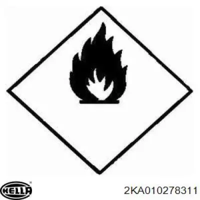 Luz matricula 2KA010278311 HELLA