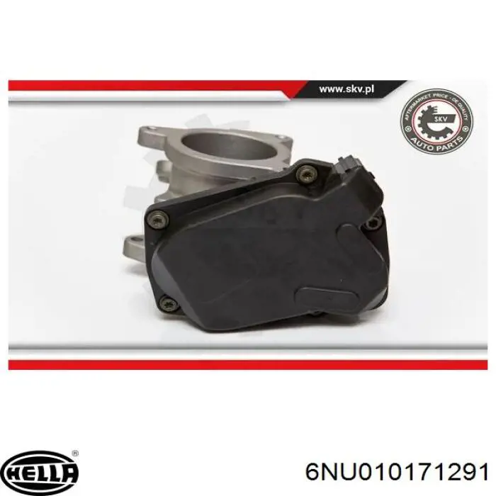 6NU010171291 HELLA Válvula EGR