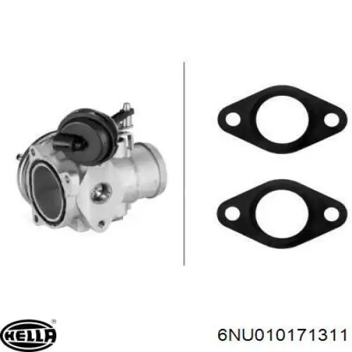 Comprar 7293D Borg-Warner Válvula EGR