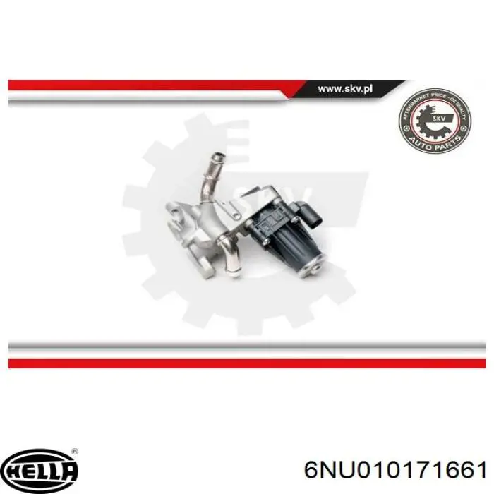 EGR ERA 555466
