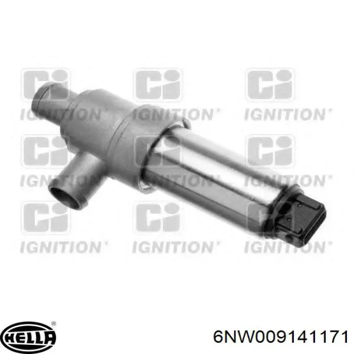 Válvula IAC 6NW009141171 HELLA