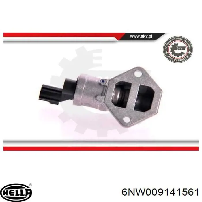 Válvula IAC 103041 Febi