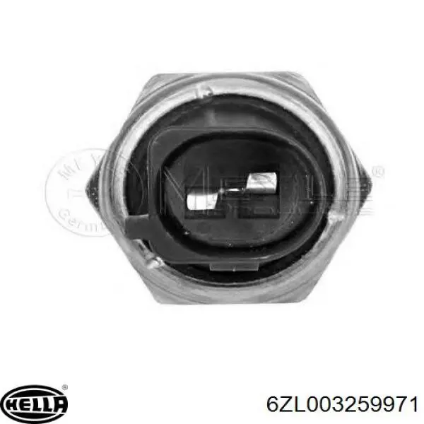 Sensor de aceite VAG 3C919081