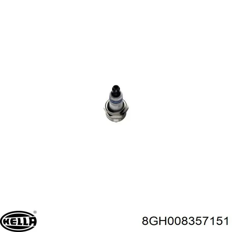 Bombilla Nissan Terrano 2 R20