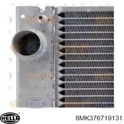 Água radiador BMW 17117519211 precio, desde 183,48 EUR