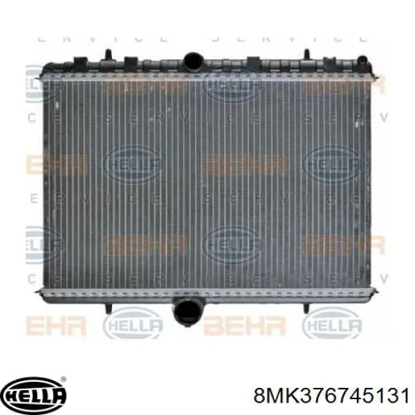 Água radiador Peugeot/Citroen 1691346480 precio, desde 69,70 EUR
