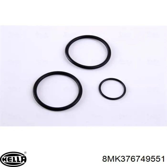 Água radiador Magneti Marelli 350213163300 precio, desde 121,67 EUR