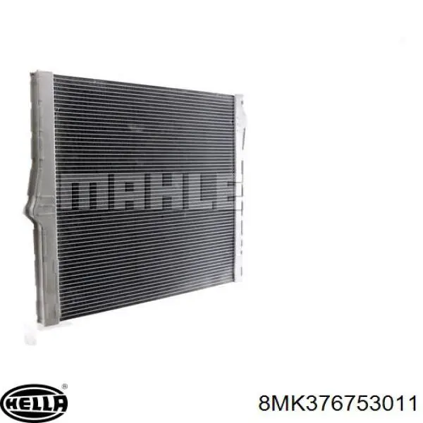 17117571987 BMW Refrigeración del motor