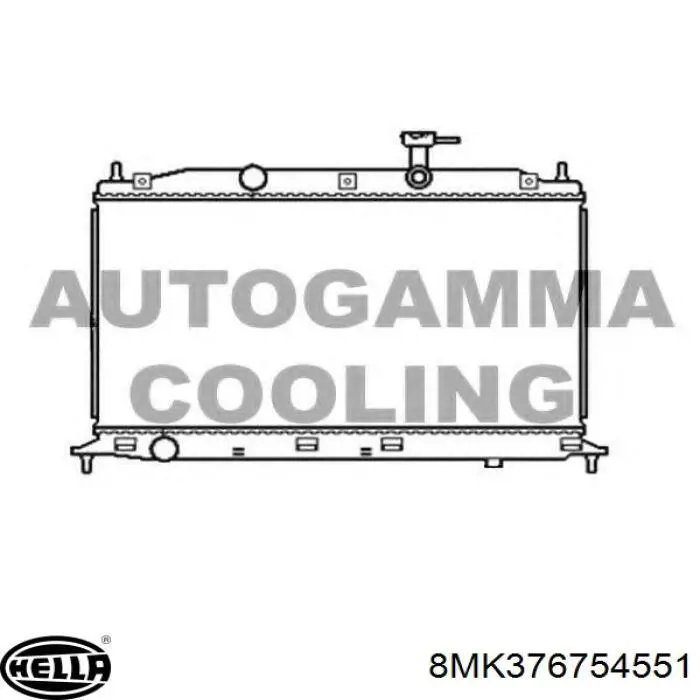 Radiador de água Hyundai/Kia S253101E001