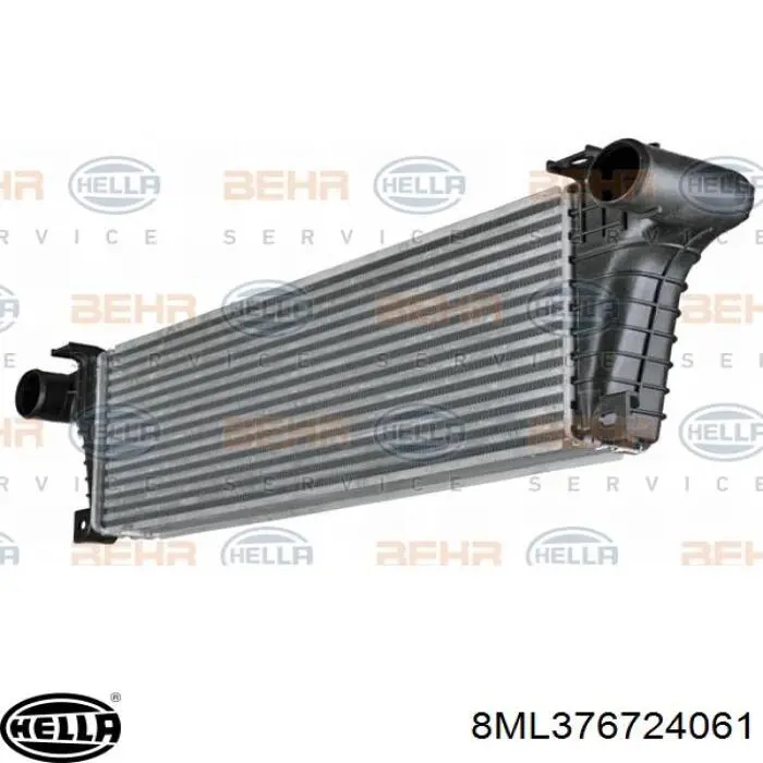 Enfriador de aire de admisión Mercedes A9425011001