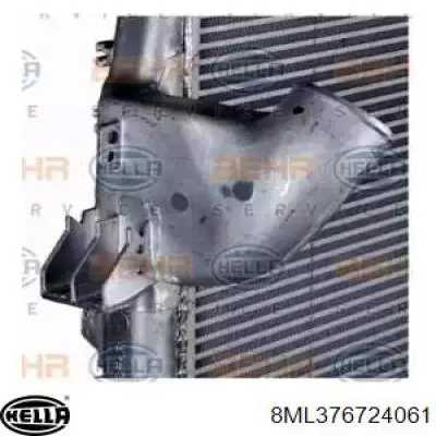 Radiador de aire de admisión Mercedes A9425011001 precio, desde 492,89 EUR